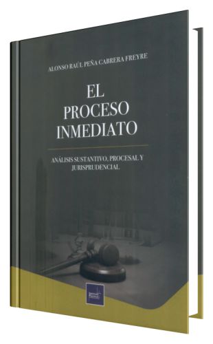 EL PROCESO INMEDIATO - análisis sustant..