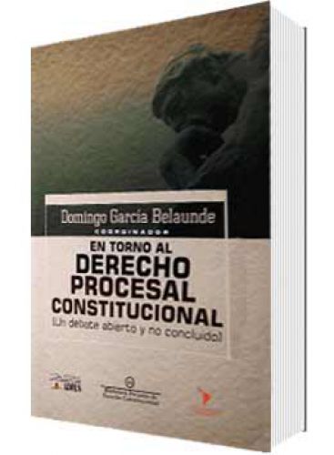 EN TORNO AL DERECHO PROCESAL CONSTITUCIO..