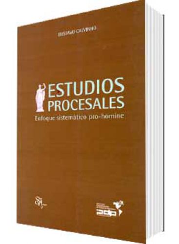 ESTUDIOS PROCESALES ENFOQUE SISTEMÁTICO..