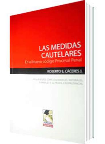 LAS MEDIDAS CAUTELARES..