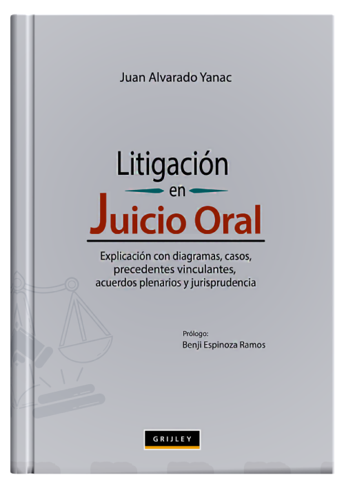 LITIGACIÓN EN EL JUICIO ORAL - Explicac..