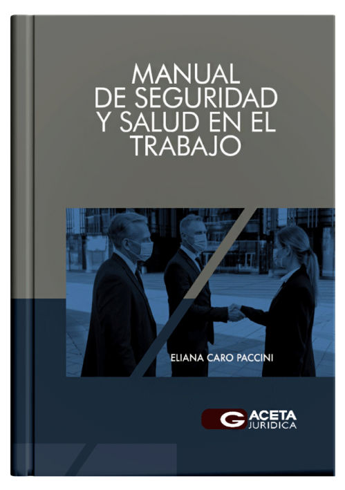 MANUAL DE SEGURIDAD Y SALUD EN EL TRABAJ..