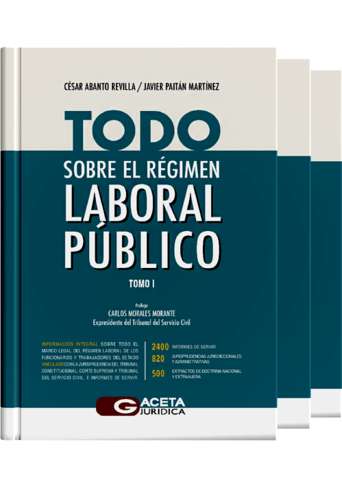 TODO SOBRE EL RÉGIMEN LABORAL PÚBLICO ..