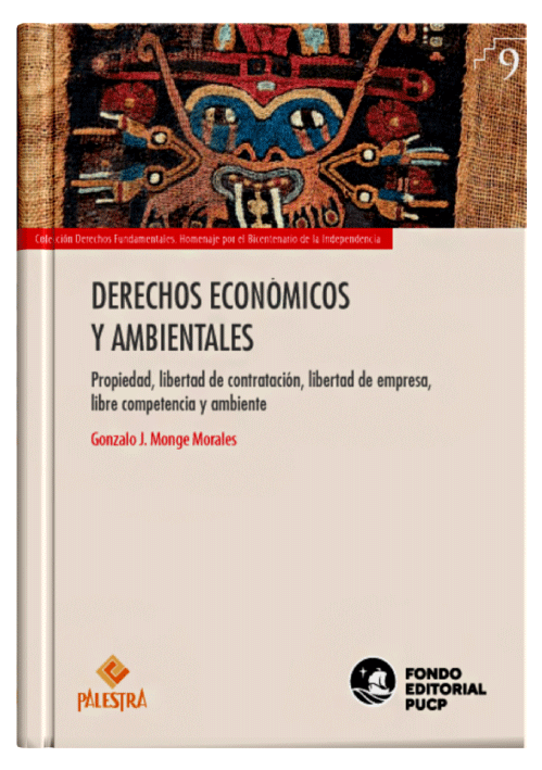 DERECHOS ECONÓMICOS Y AMBIENTALES..