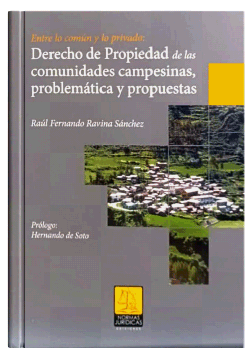 ENTRE LO COMÚN Y LO PRIVADO: Derecho de..