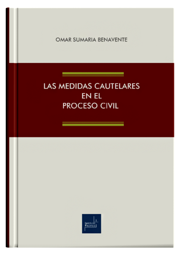 LAS MEDIDAS CAUTELARES EN EL PROCESO CIV..