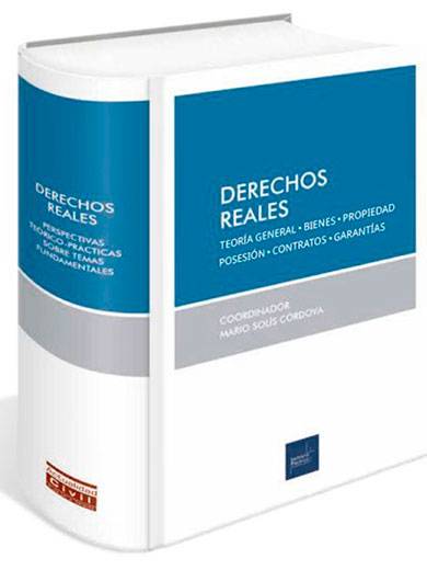 DERECHOS REALES - Teoría general. Biene..