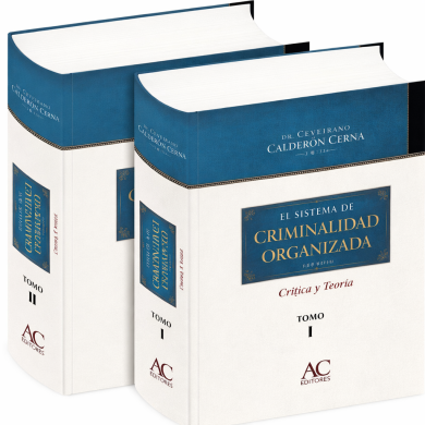 EL SISTEMA DE CRIMINALIDAD ORGANIZADA. C..