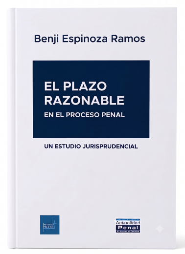 El Plazo Razonable en el Proceso Penal. ..