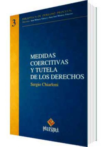 MEDIDAS COERCITIVAS Y TUTELA DE LOS DERE..