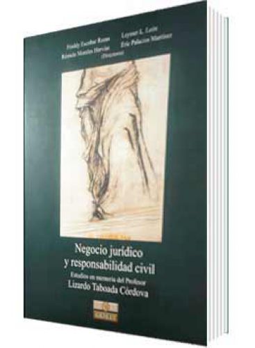 NEGOCIO JURï¿½DICO Y RESPONSABILIDAD ..