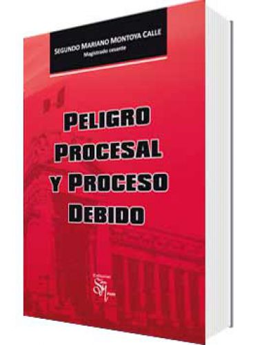 PELIGRO PROCESAL Y PROCESO DEBIDO..