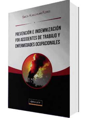 PREVENCIÓN E INDEMNIZACIÓN POR ACCIDEN..