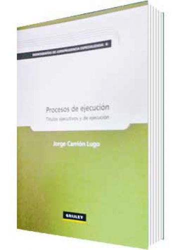 PROCESOS DE EJECUCIÓN..