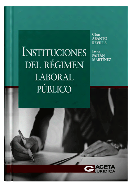 INSTITUCIONES DEL RÉGIMEN LABORAL PÚBL..
